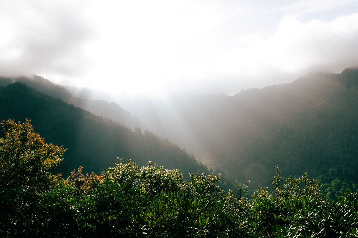 Sunbeams pierce through misty clouds over a lush green mountain valley with dense forest canopy.