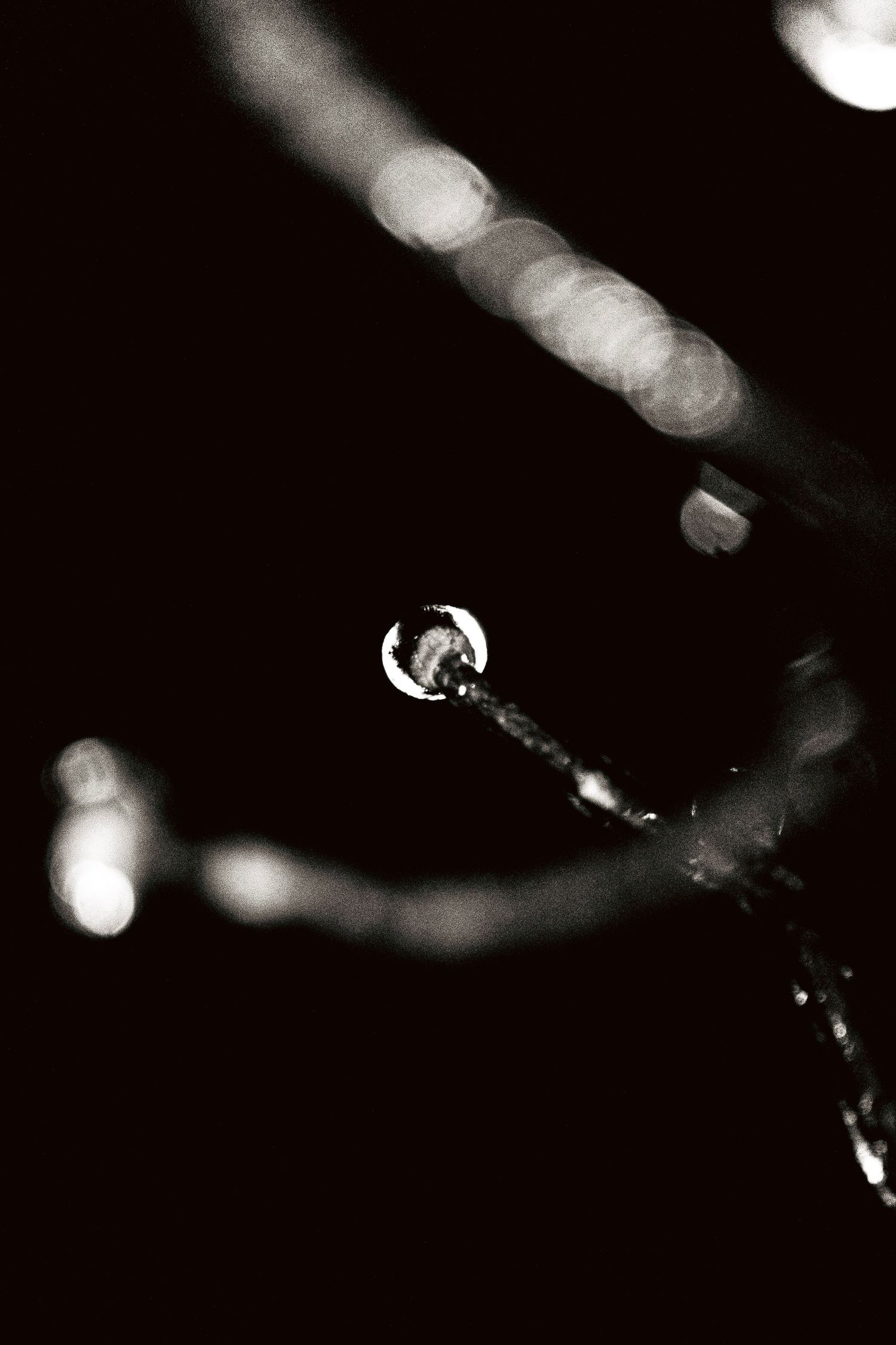 Black and white macro photograph of a single water droplet suspended on a thin branch.