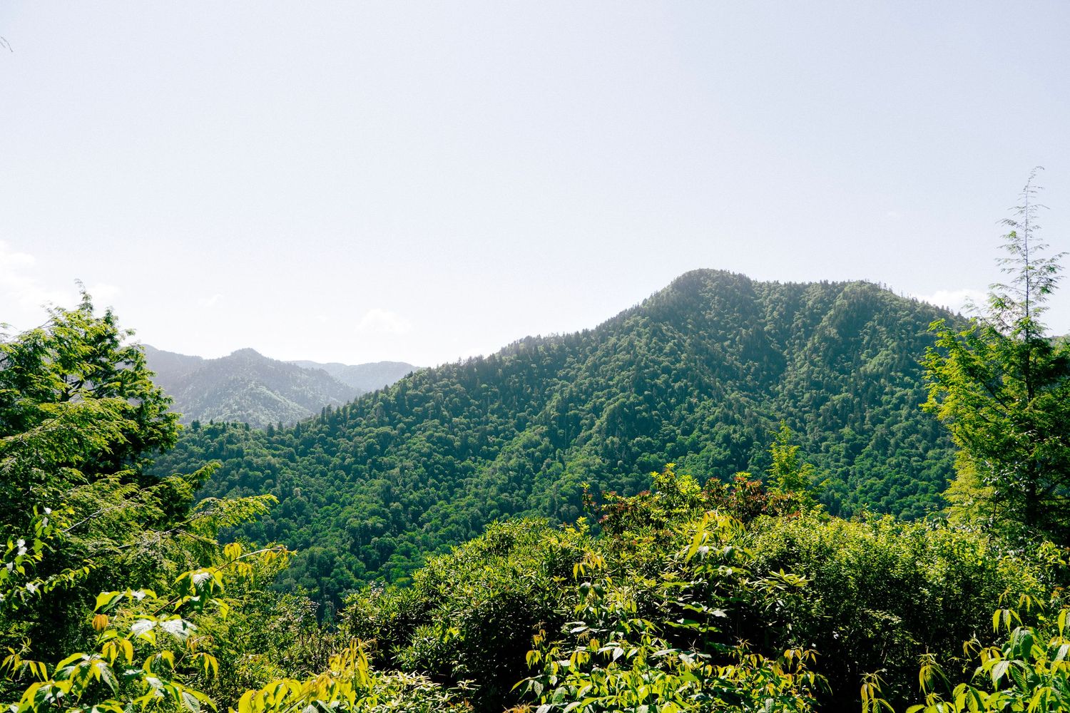 Lush green mountain landscape with dense forest under a clear sky.