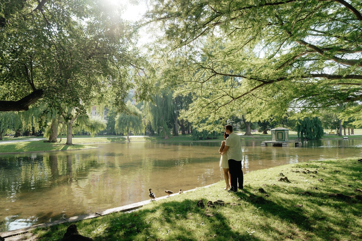 Serene panoramic view of a tree-lined lake with sunlight filtering through branches and reflections on calm water.