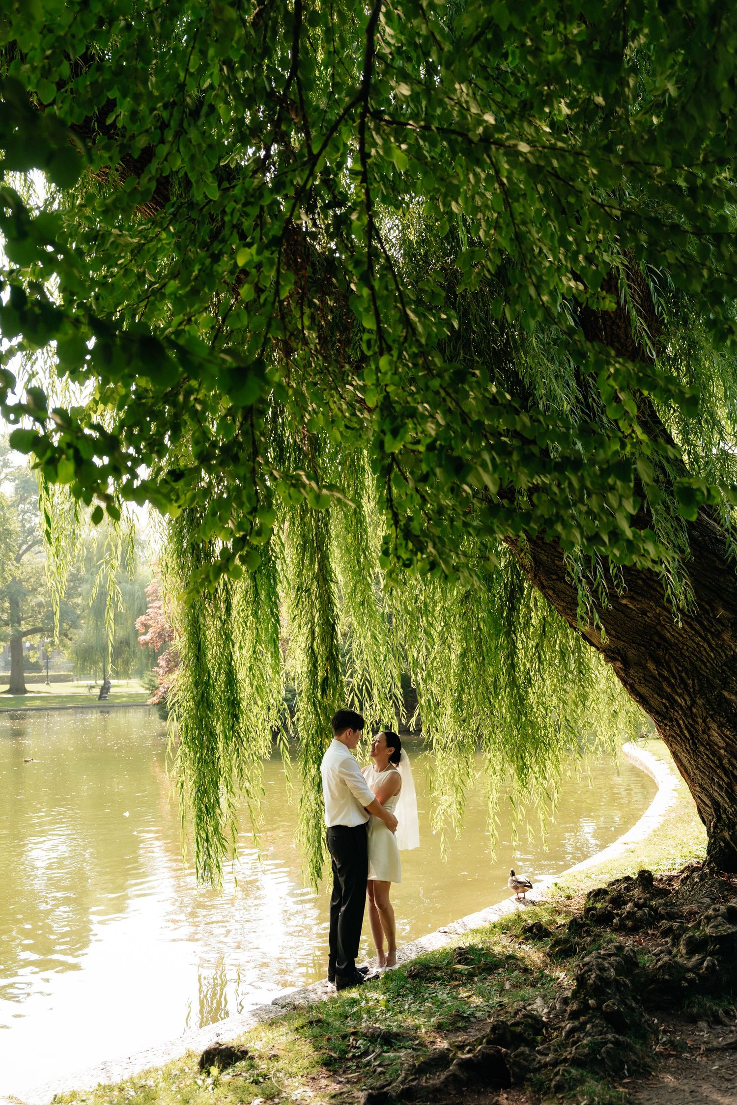 A romantic moment under a weeping willow tree by a tranquil pond in a park.