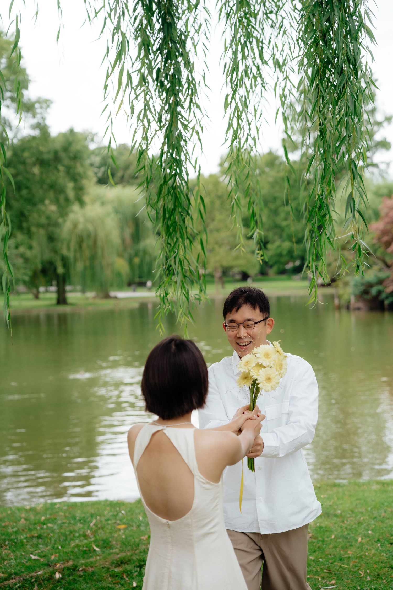 Boston Public Garden engagement photo with the couple near a willow tree and Swan Boat pond.
