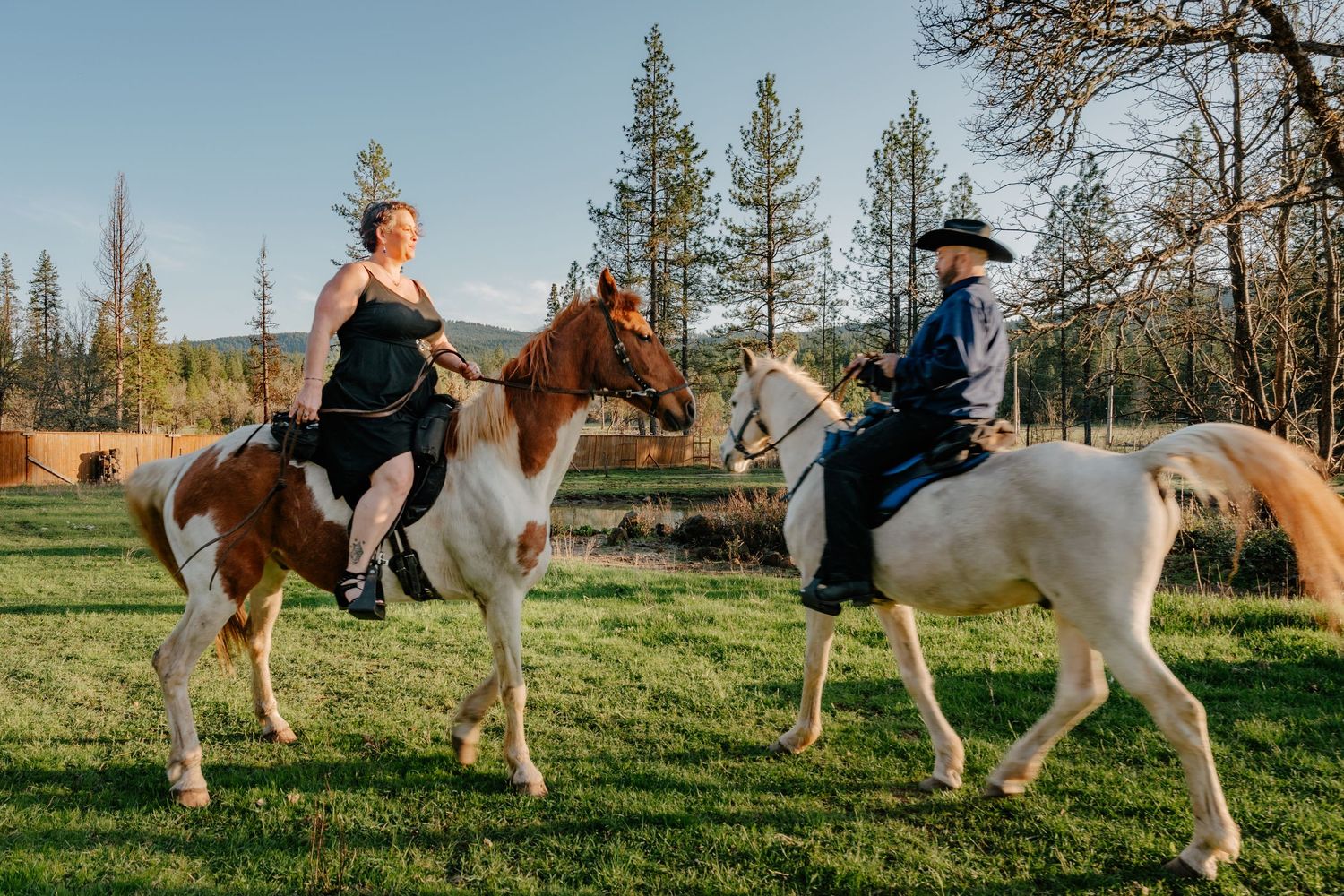 People riding horses through a sunny green field with pine trees in the background.