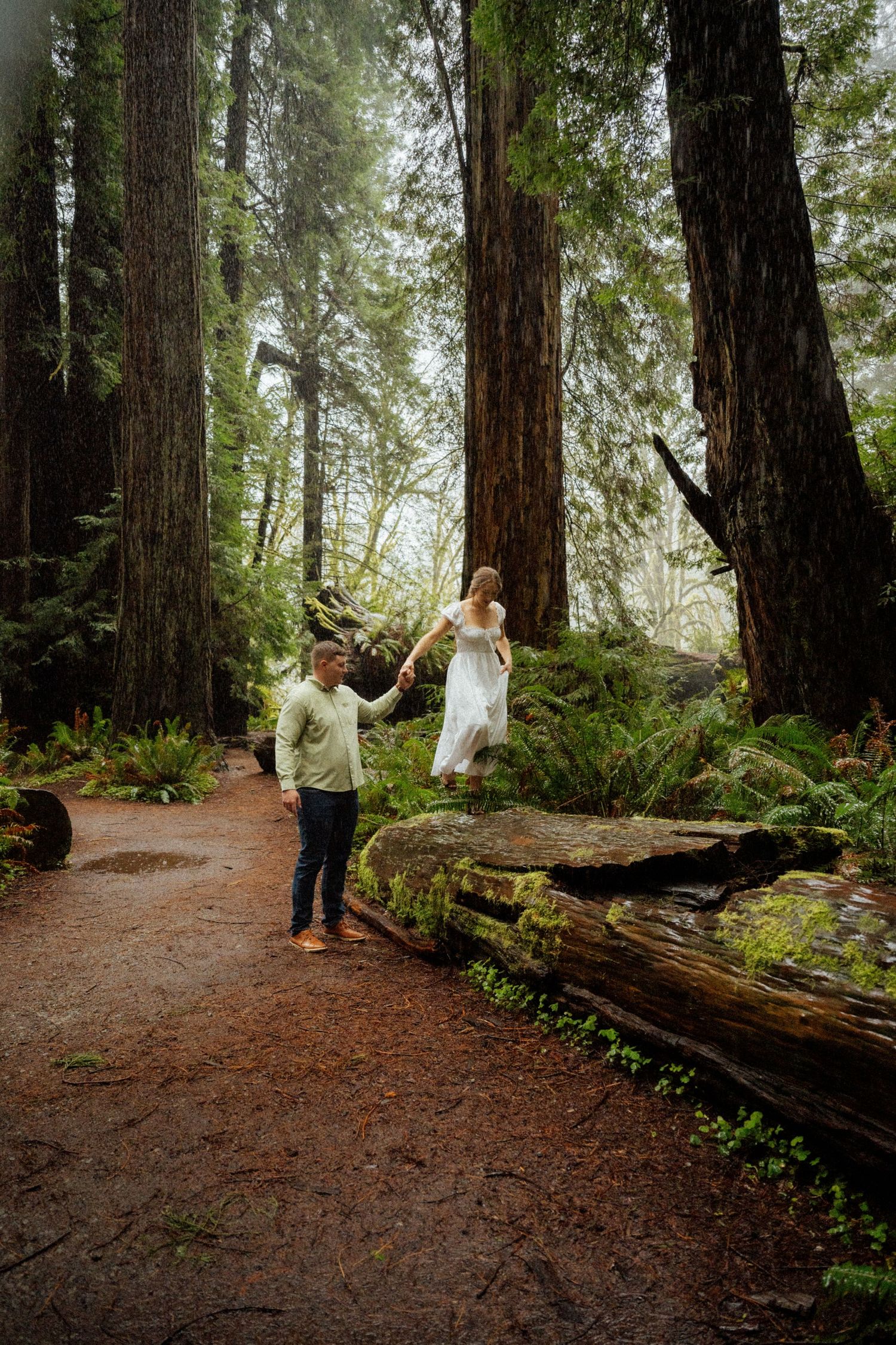 Couple explores misty redwood forest trail surrounded by ancient trees and ferns.