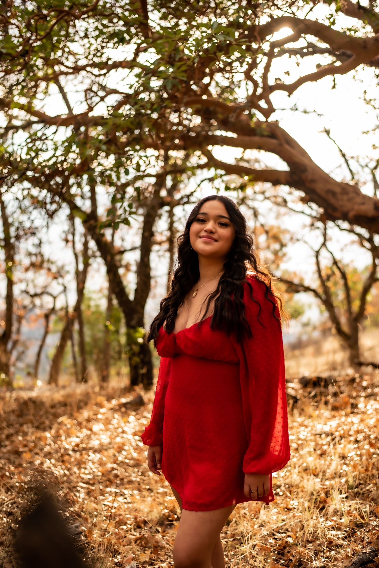 Woman in red blouse posing among autumn leaves under sprawling oak trees.