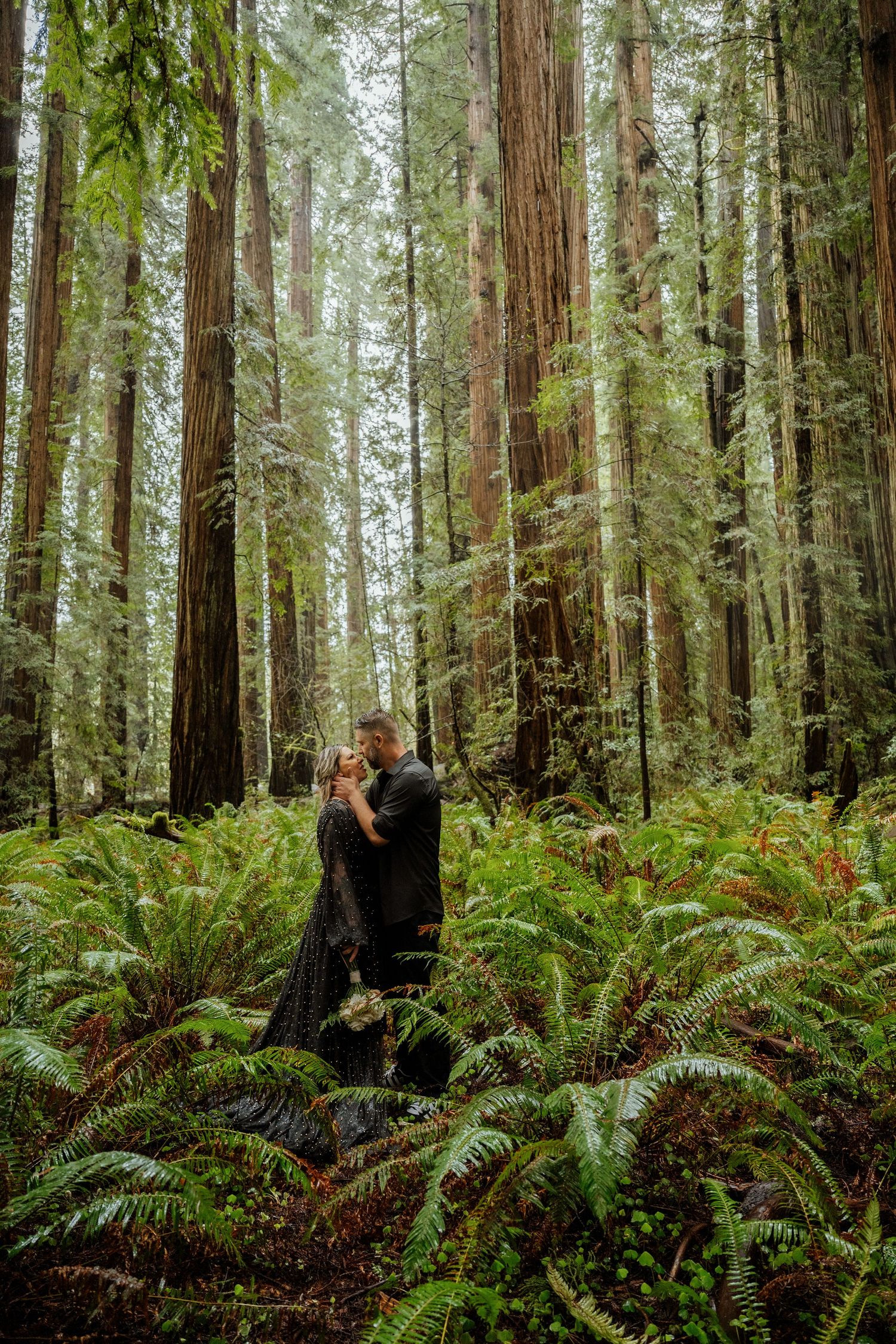 Couple walking through a lush redwood forest with towering trees and ferns in Northern California.