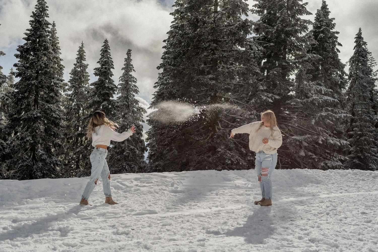 Friends having fun in winter landscape with snow-covered evergreen trees.