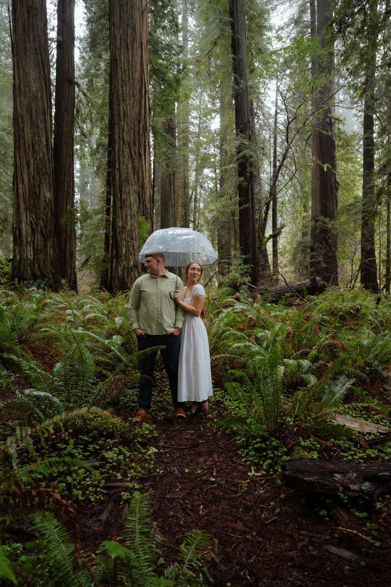 Couple explores majestic redwood forest surrounded by towering trees and lush ferns.