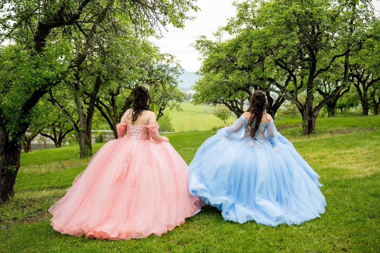 Two formal ballgowns in pink and blue photographed together in a green orchard setting.