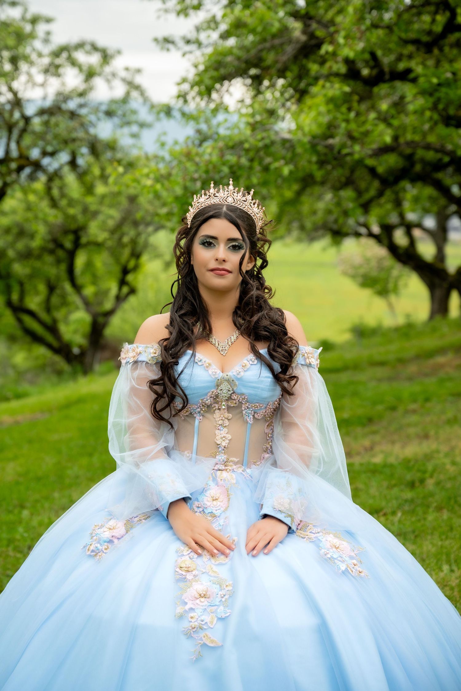 A light blue princess ballgown with floral appliques photographed in a green outdoor setting.