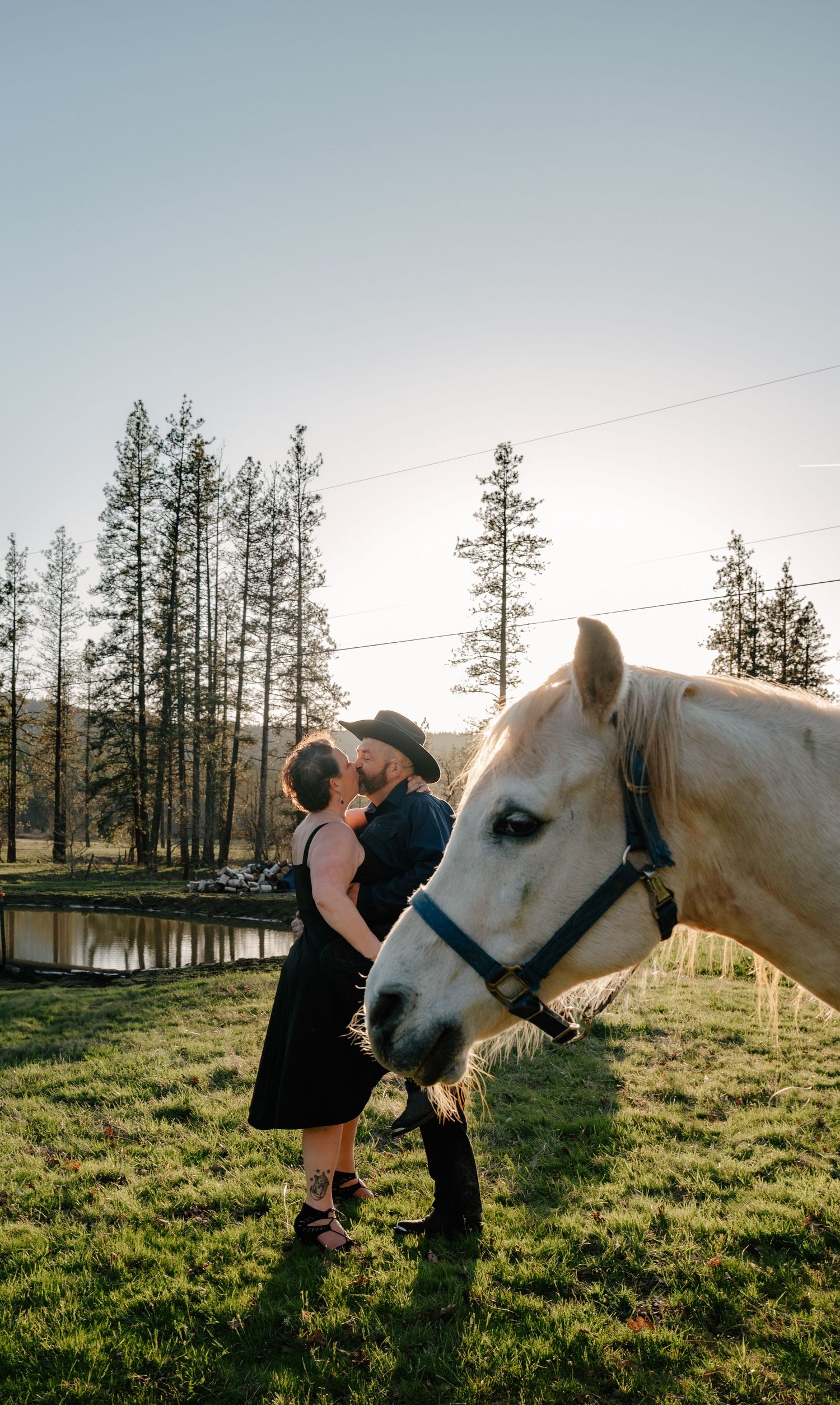 A beautiful white horse and person share a tender moment in a grassy field at sunset with pine trees in the background.