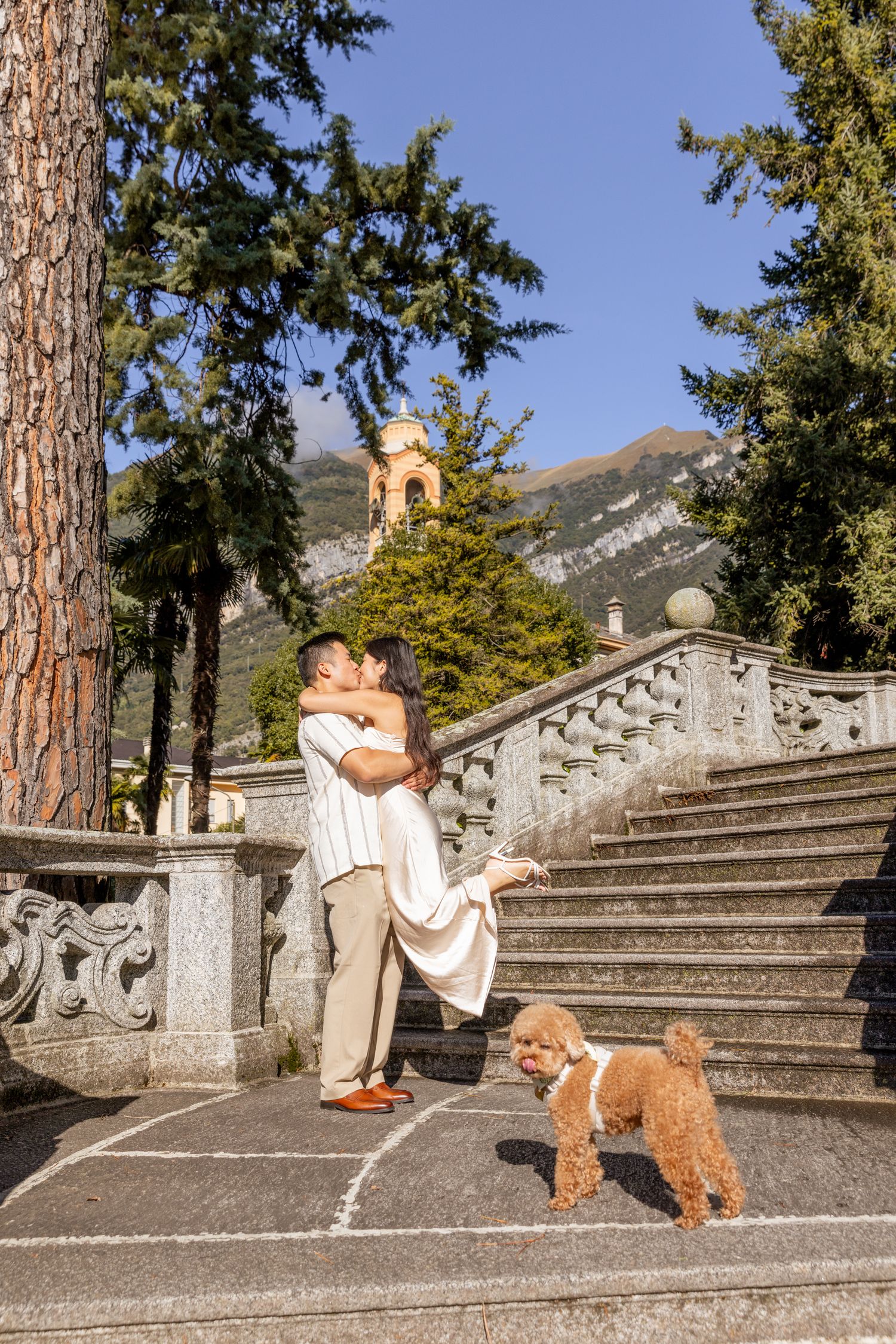 A person and a goldendoodle dog walk up ornate stone steps with mountains visible in the background.