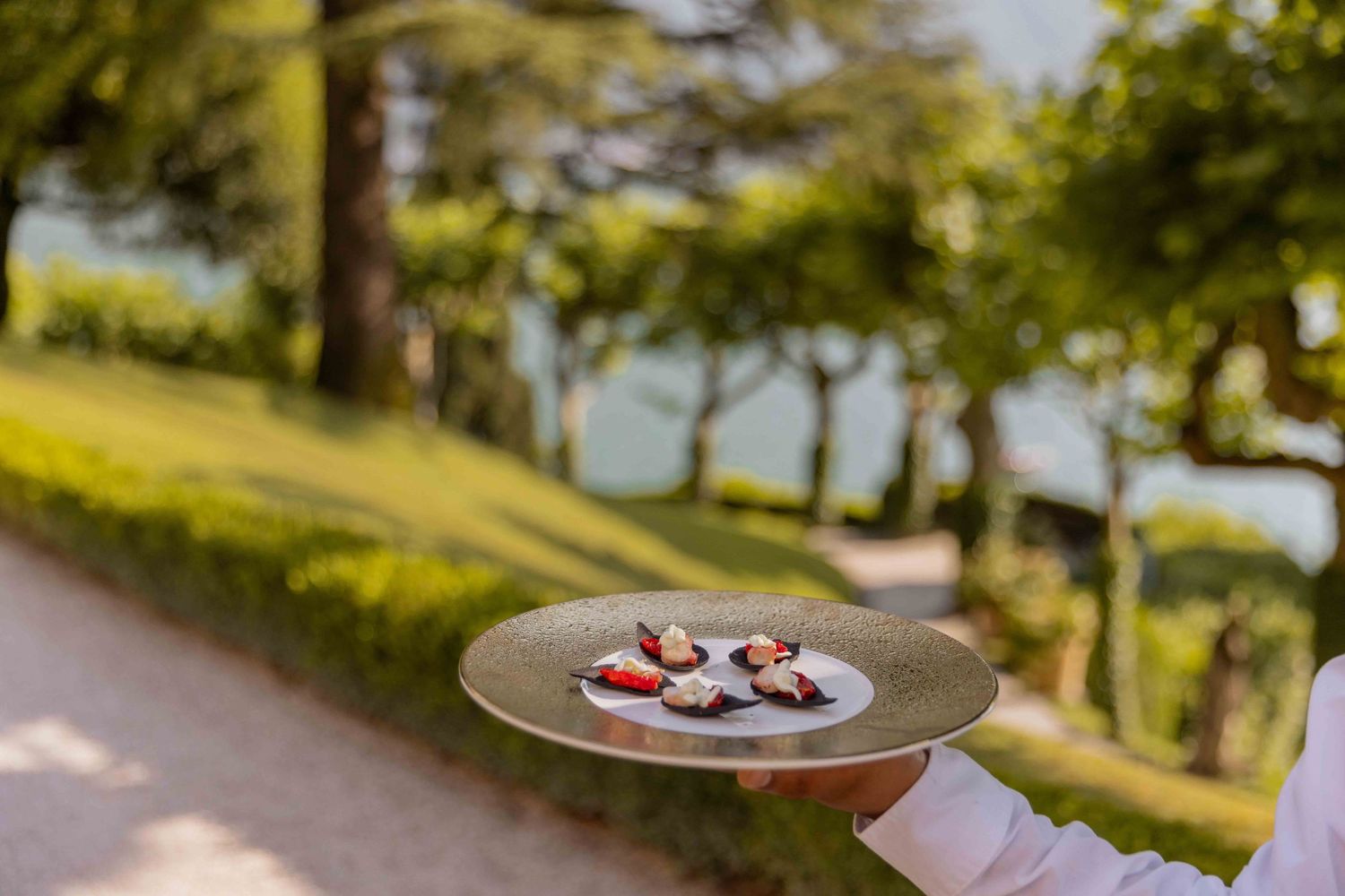 Outdoor dining setting with plates of food against blurred natural landscape.