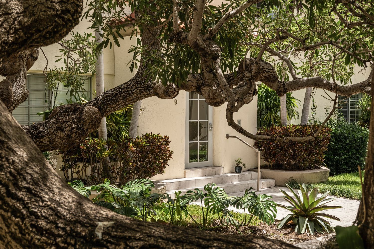 A series of connected garden images showing twisted tree branches and landscaped pathways around a white building. Architectural Photography