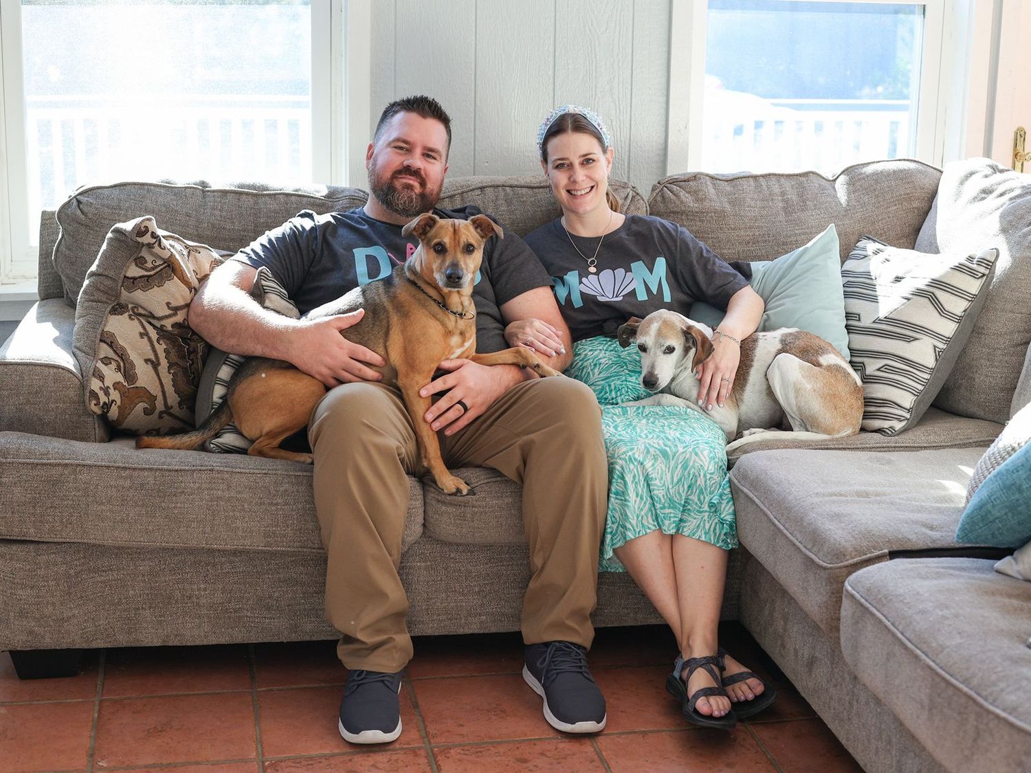 A series of photos showing people relaxing on a gray couch with their dogs in a living room setting.