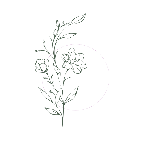 Delicate botanical line drawing of a stem with leaves and blooming flowers in a minimal, graceful style.
