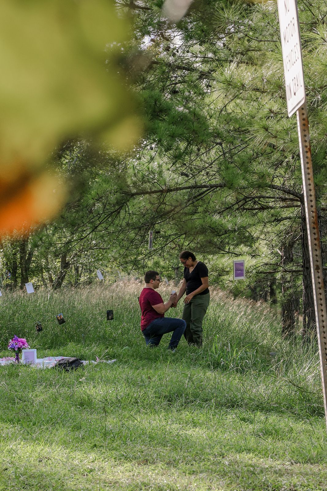 A man kneels on one knee proposing to his partner in a scenic green meadow with pine trees.