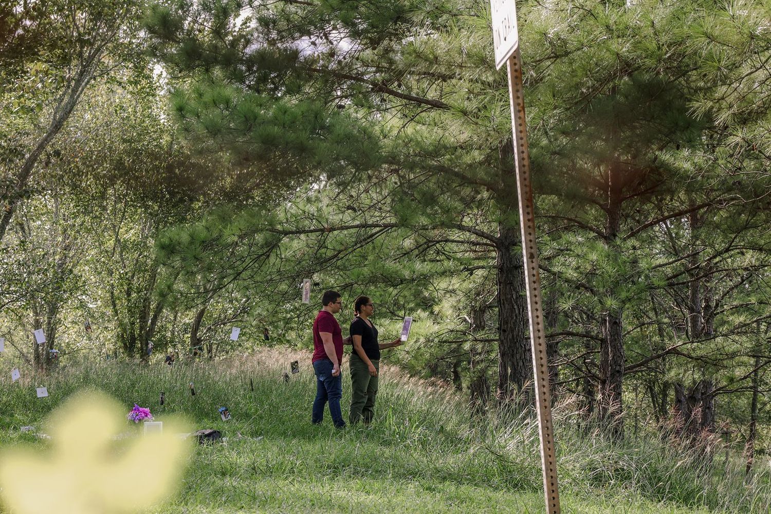 Two people walking along a grassy woodland path surrounded by lush green pine trees.