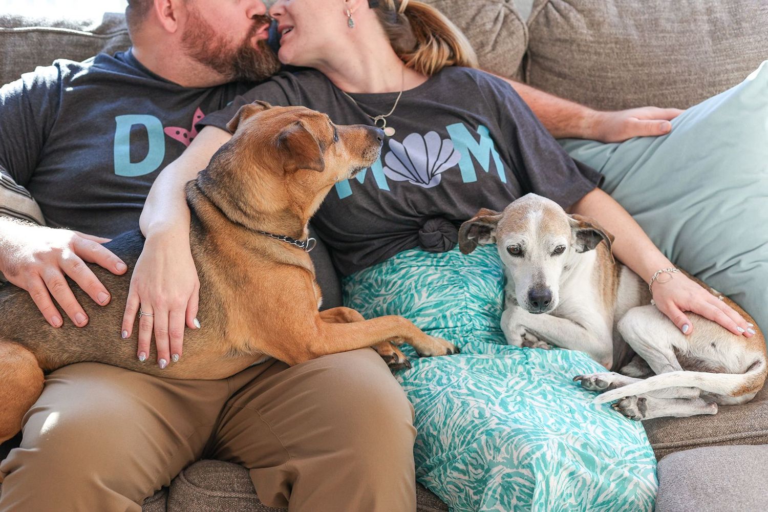 A brown dog and calico cat cuddle together on a couch with a turquoise blanket.