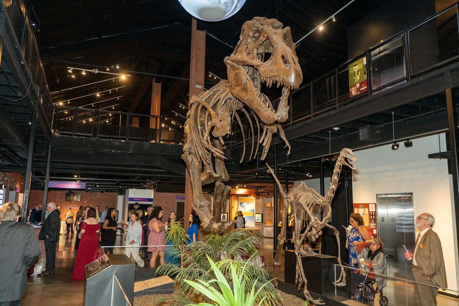 Museum exhibit hall with dinosaur skeletons and lighting displays creating a dramatic atmosphere.