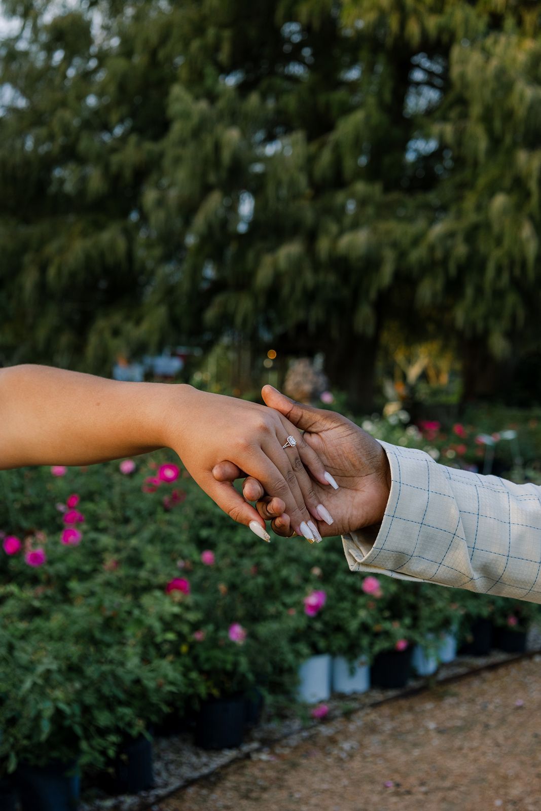 Close-up sequence of hands exchanging a ring in a garden with pink flowers and greenery in the background.