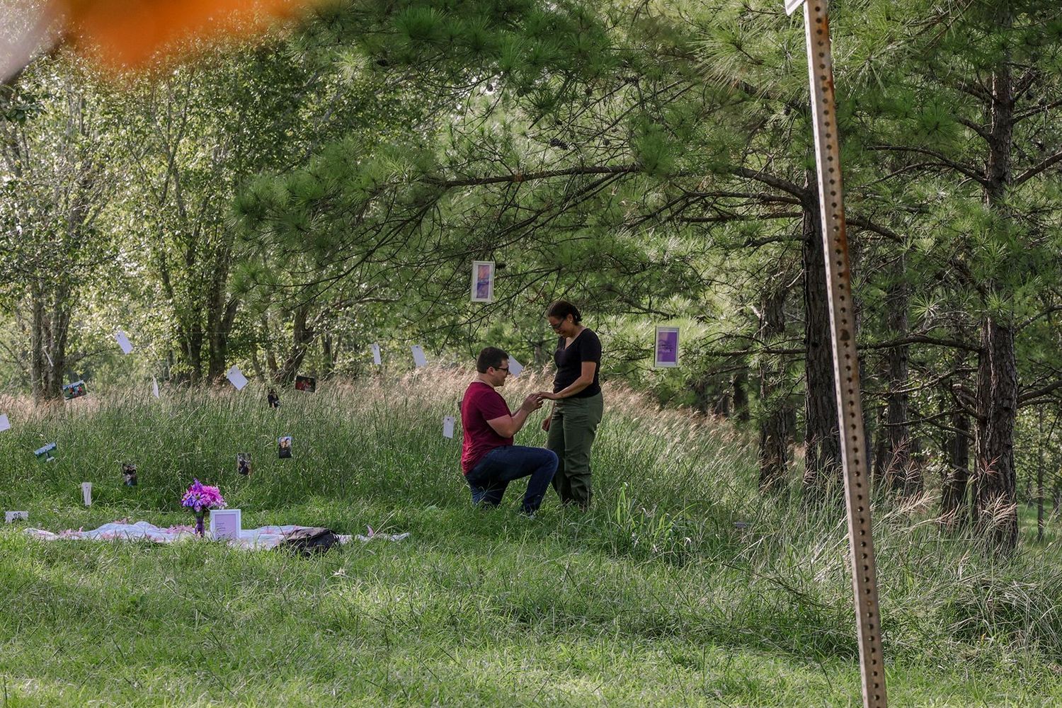 Person proposing on one knee in a grassy meadow with pine trees in the background.