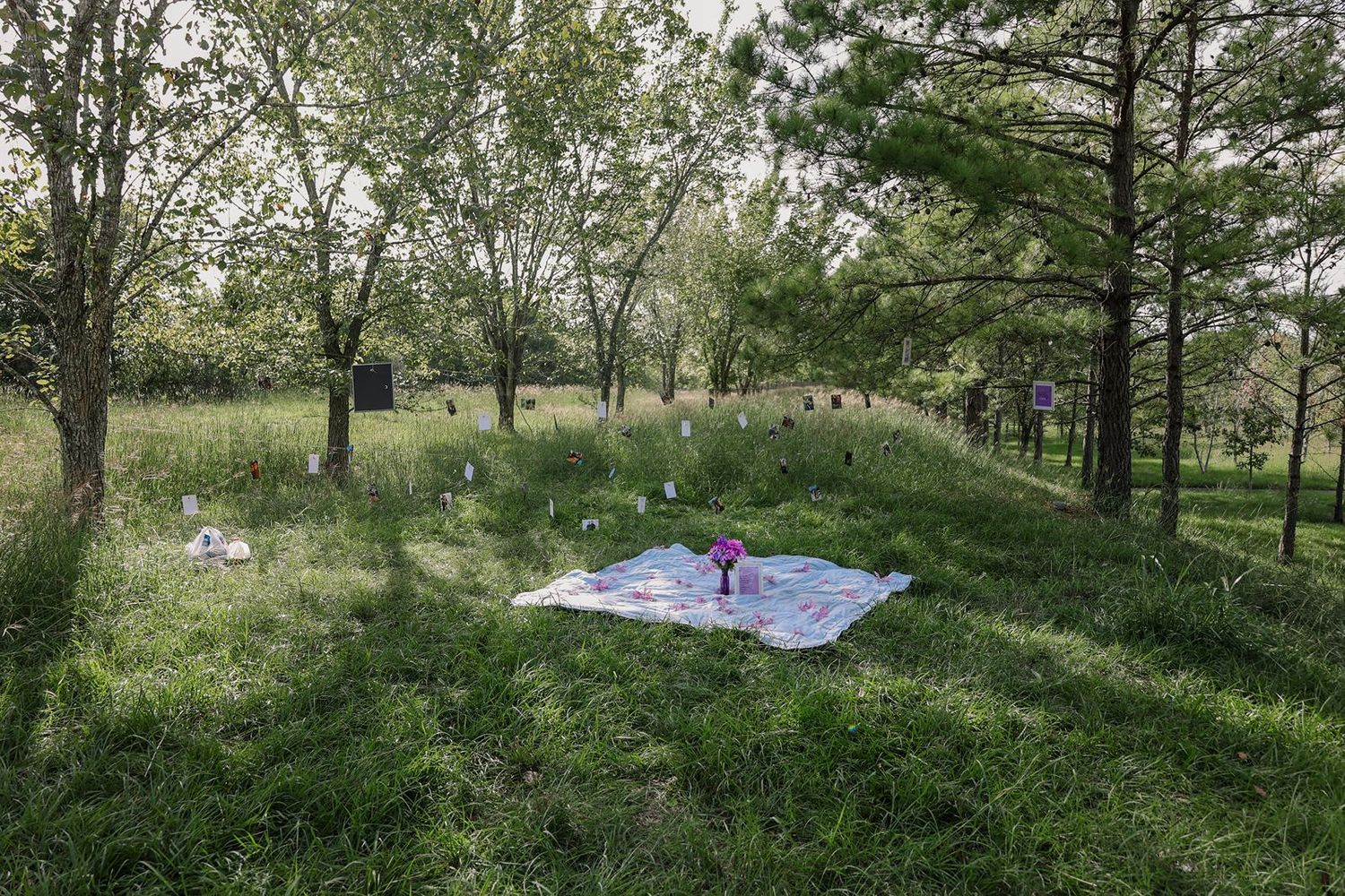 A romantic outdoor proposal setup with a white blanket, pink flowers, and framed notes arranged in a lush green meadow.