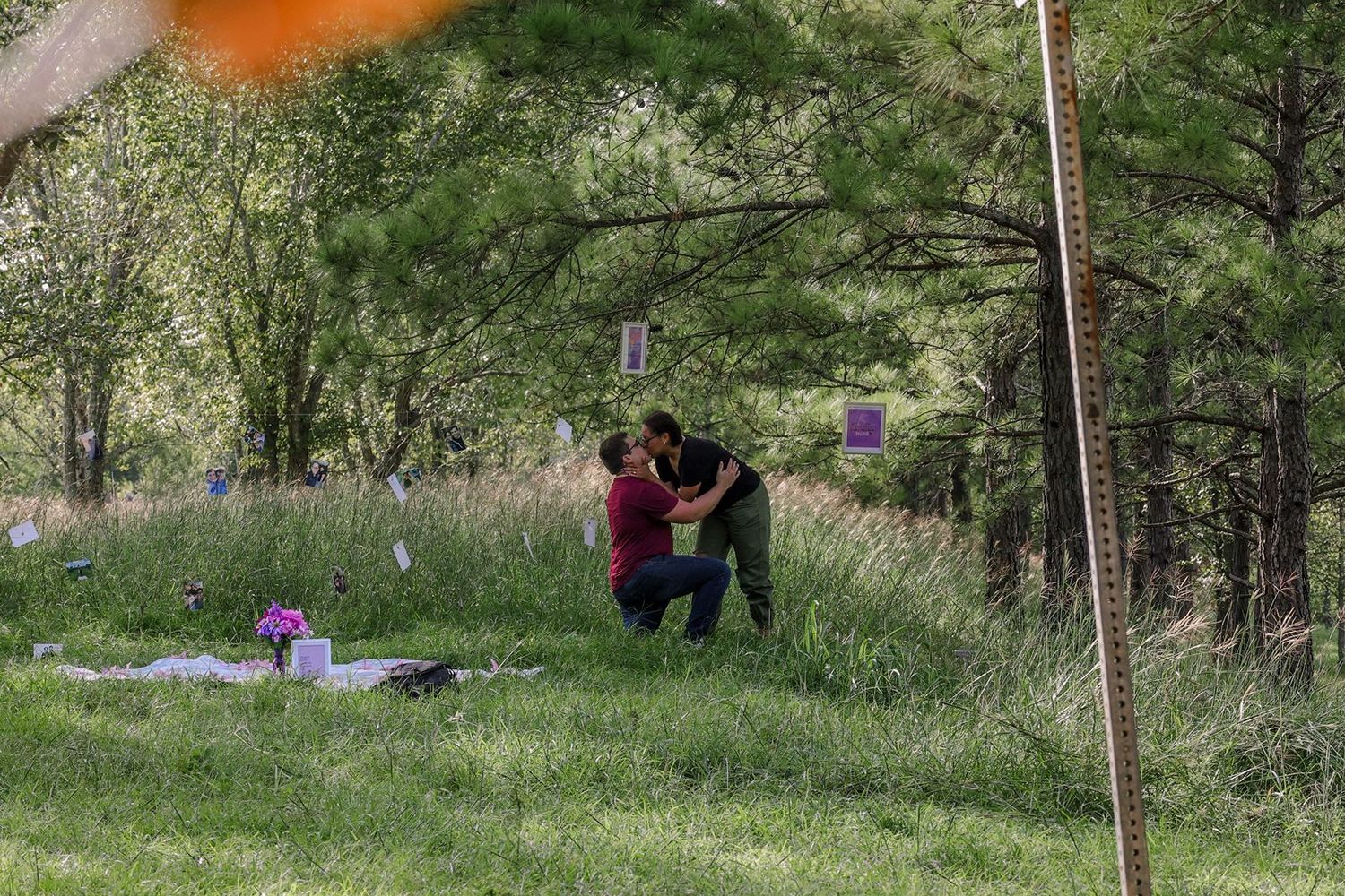 Couple sharing a kiss after an outdoor marriage proposal in a green meadow surrounded by trees.