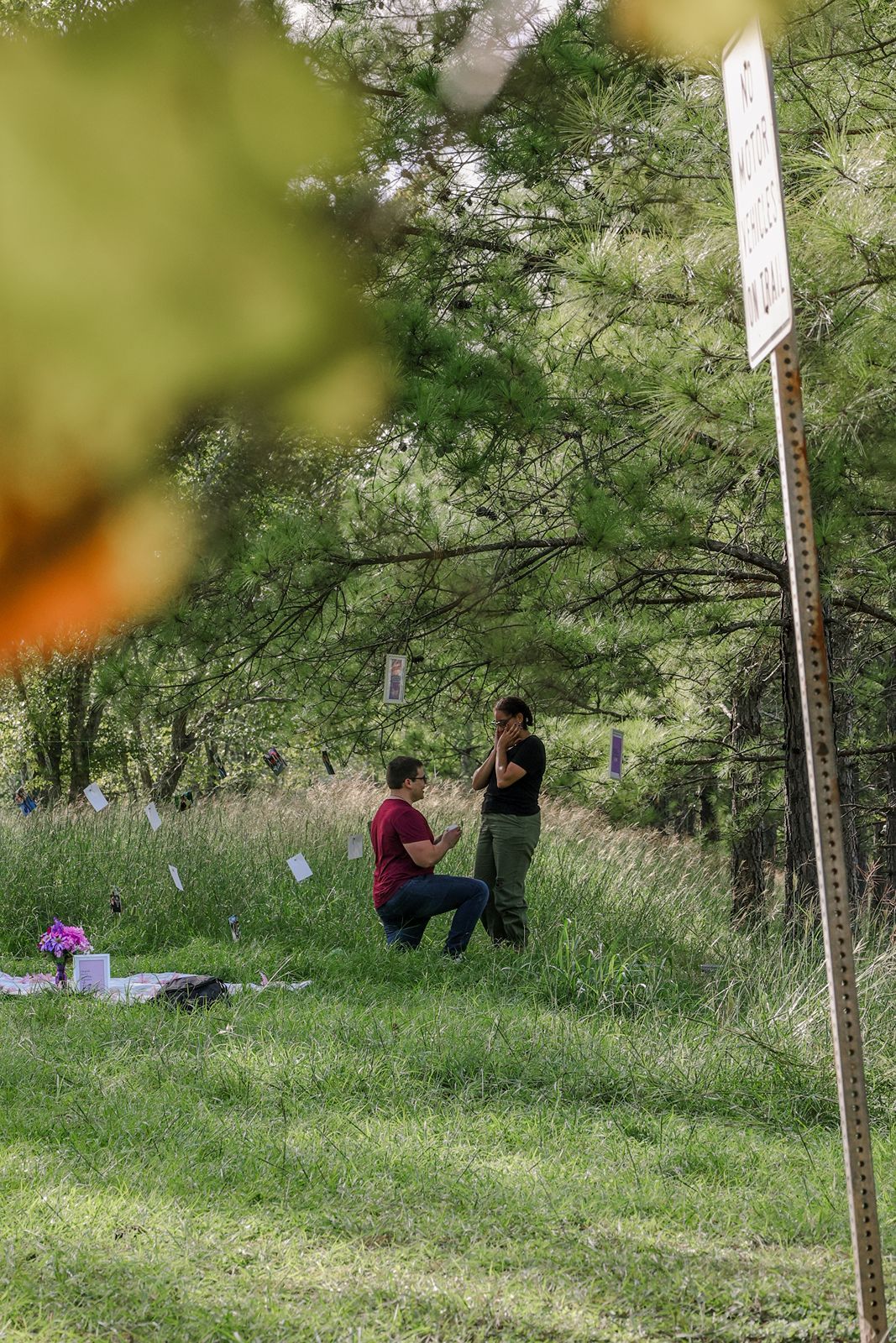 Person kneeling in a grassy field proposing to their partner near pine trees and a sign outdoors.