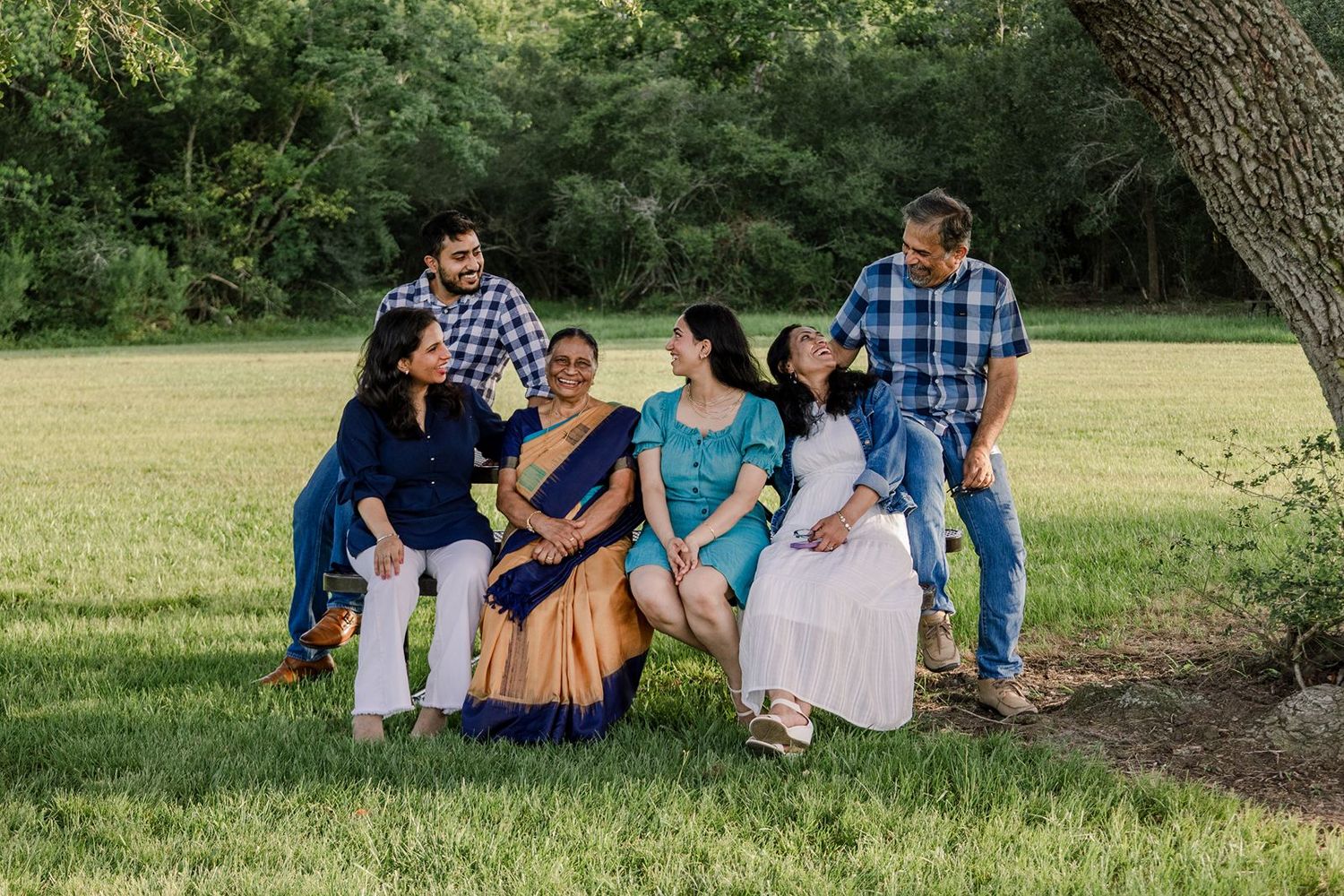 Group of people sitting together under a large tree in a sunny park on a summer day.