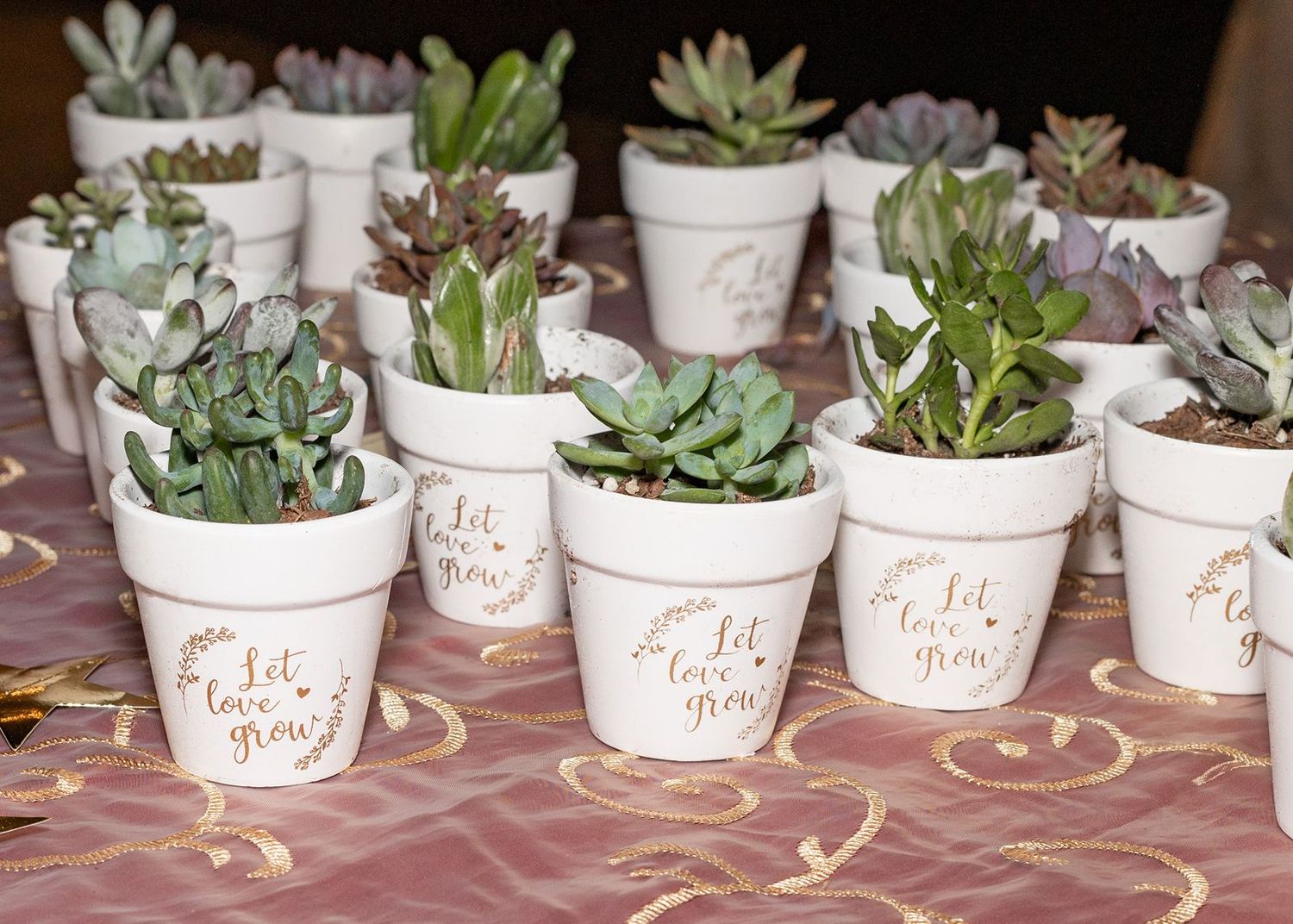 White terra cotta pots with succulents and gold Let Love Grow text as wedding favor gifts on a table.