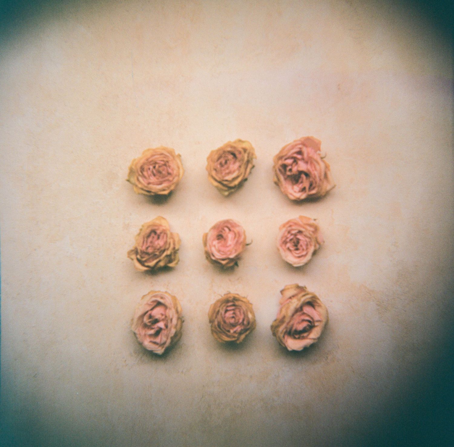 San Diego Photographer and Recent Bride DIY Flower Preservation Project Film Photography Romanic Photo of Flowers