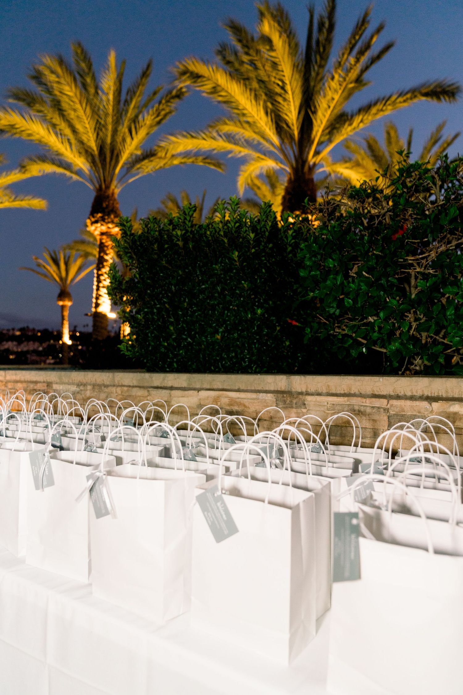 White gift bags arranged in rows beneath illuminated palm trees at dusk.