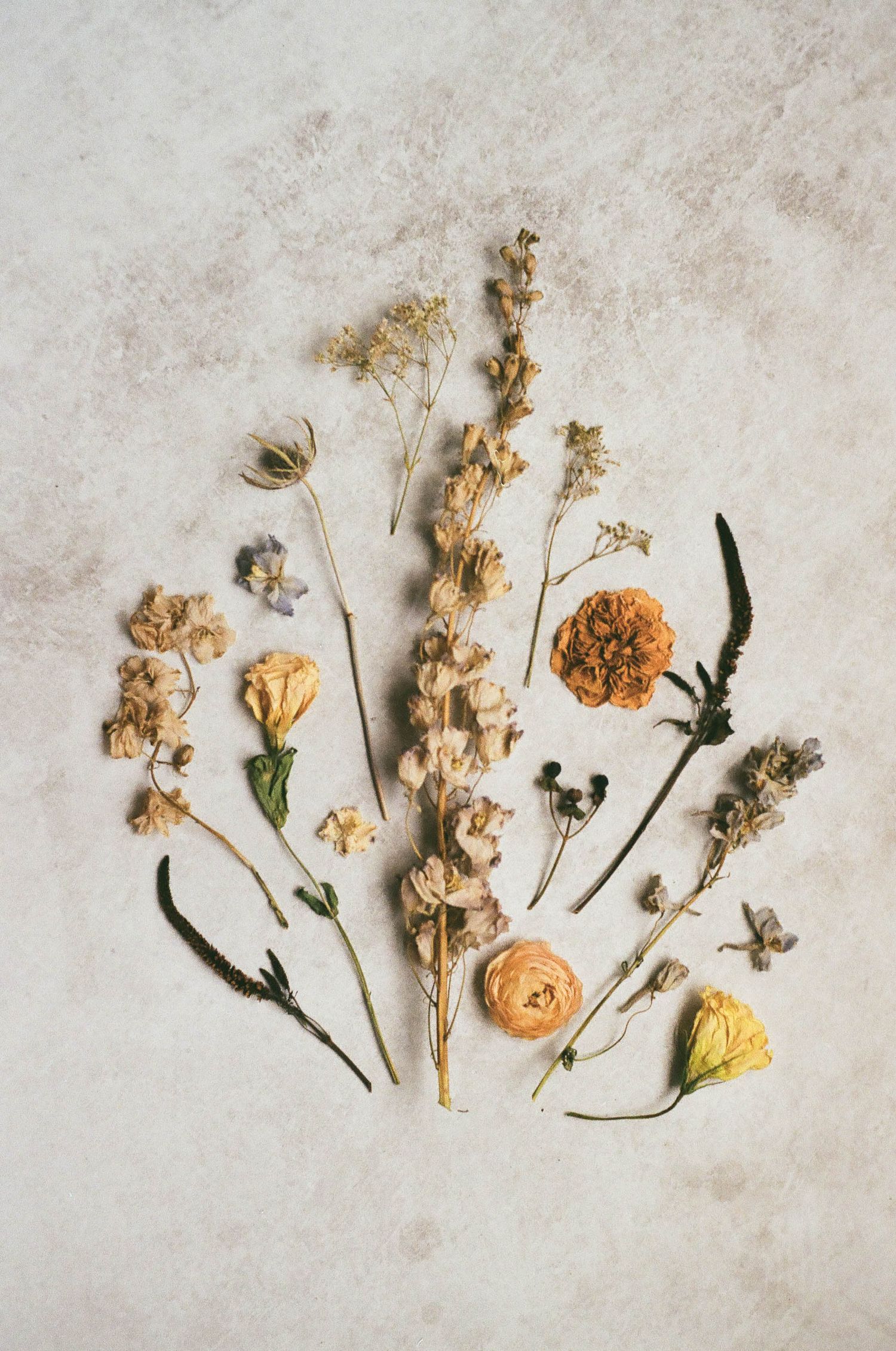 San Diego Photographer and Recent Bride DIY Flower Preservation Project Film Photography Romanic Photo of Flowers
