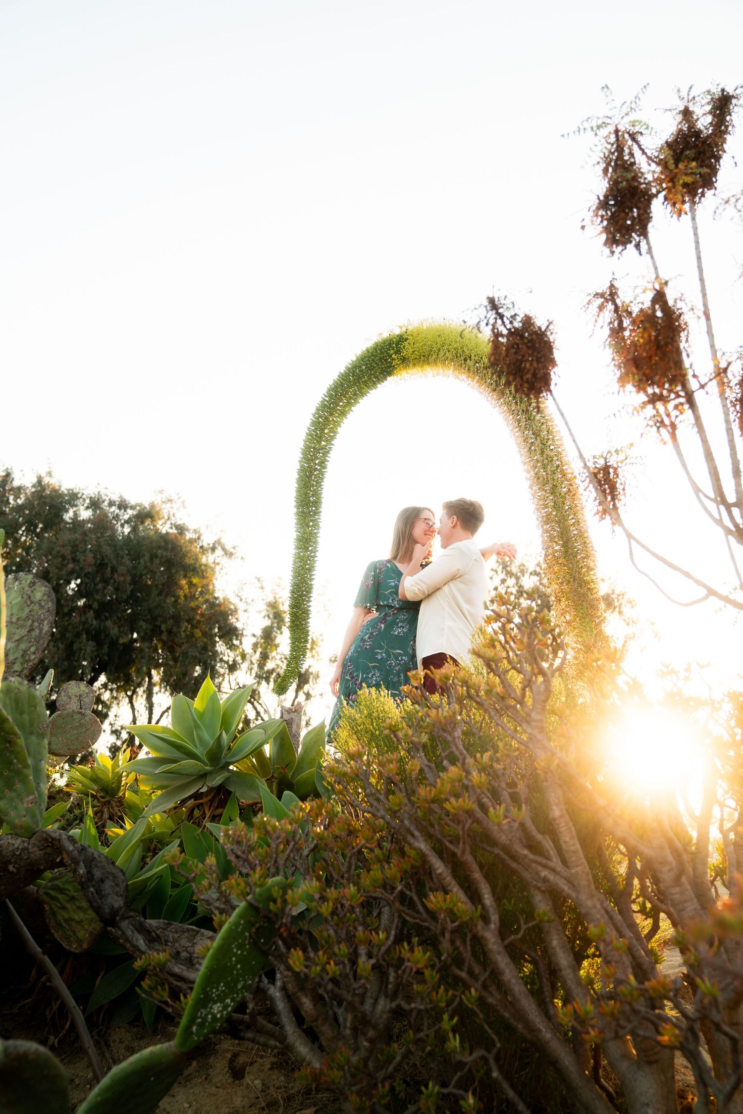 Couple embracing under floral arch with sunset backlighting through desert plants.