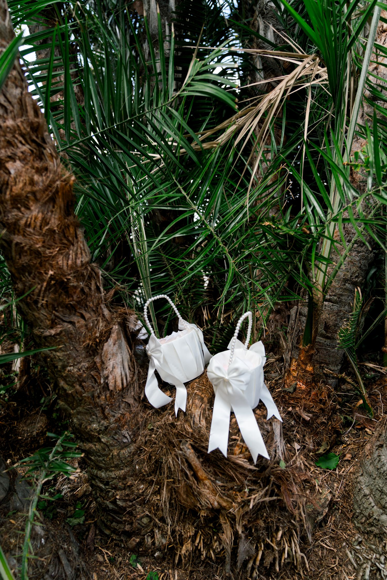 White wedding shoes with bows displayed against tropical palm fronds and tree trunk in outdoor setting.