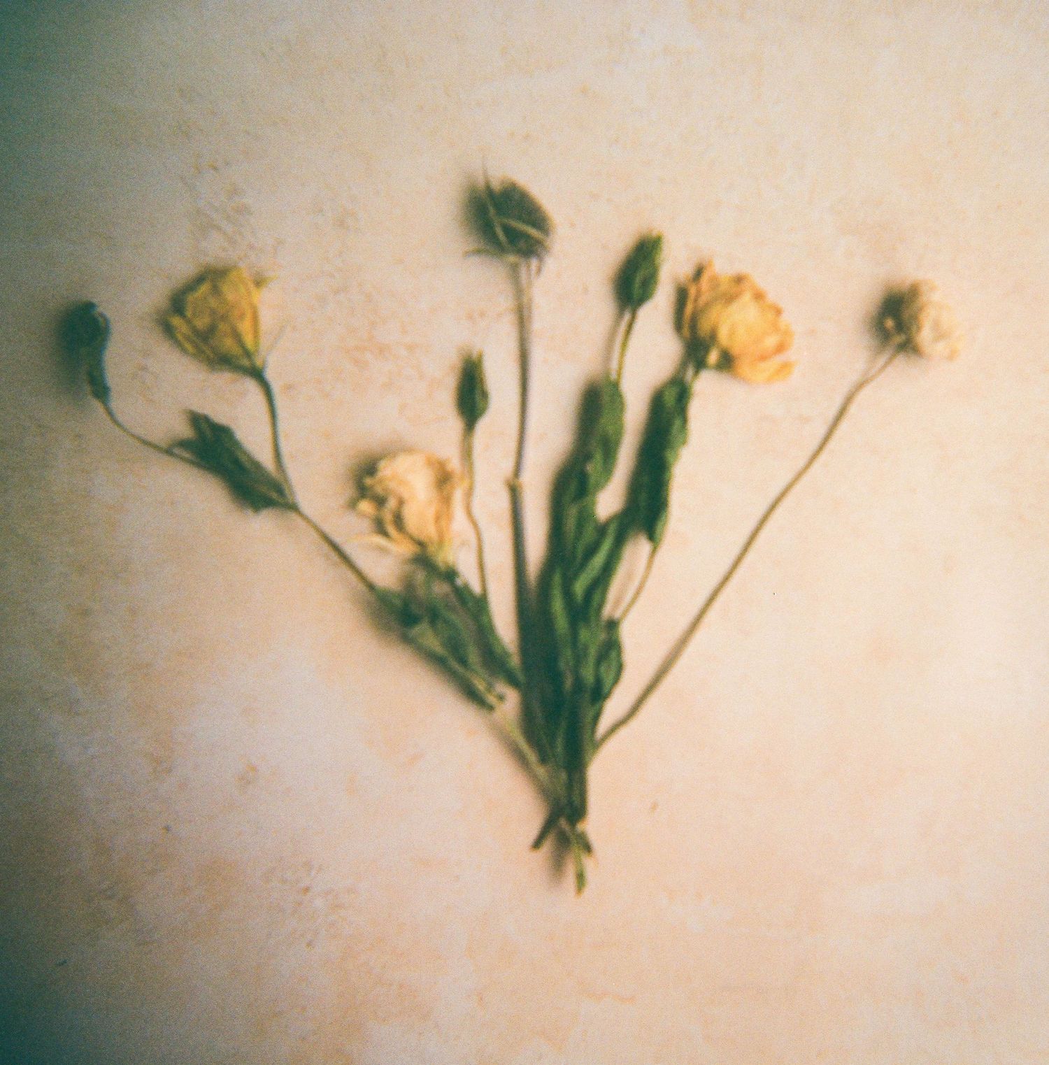 San Diego Photographer and Recent Bride DIY Flower Preservation Project Film Photography Romanic Photo of Flowers