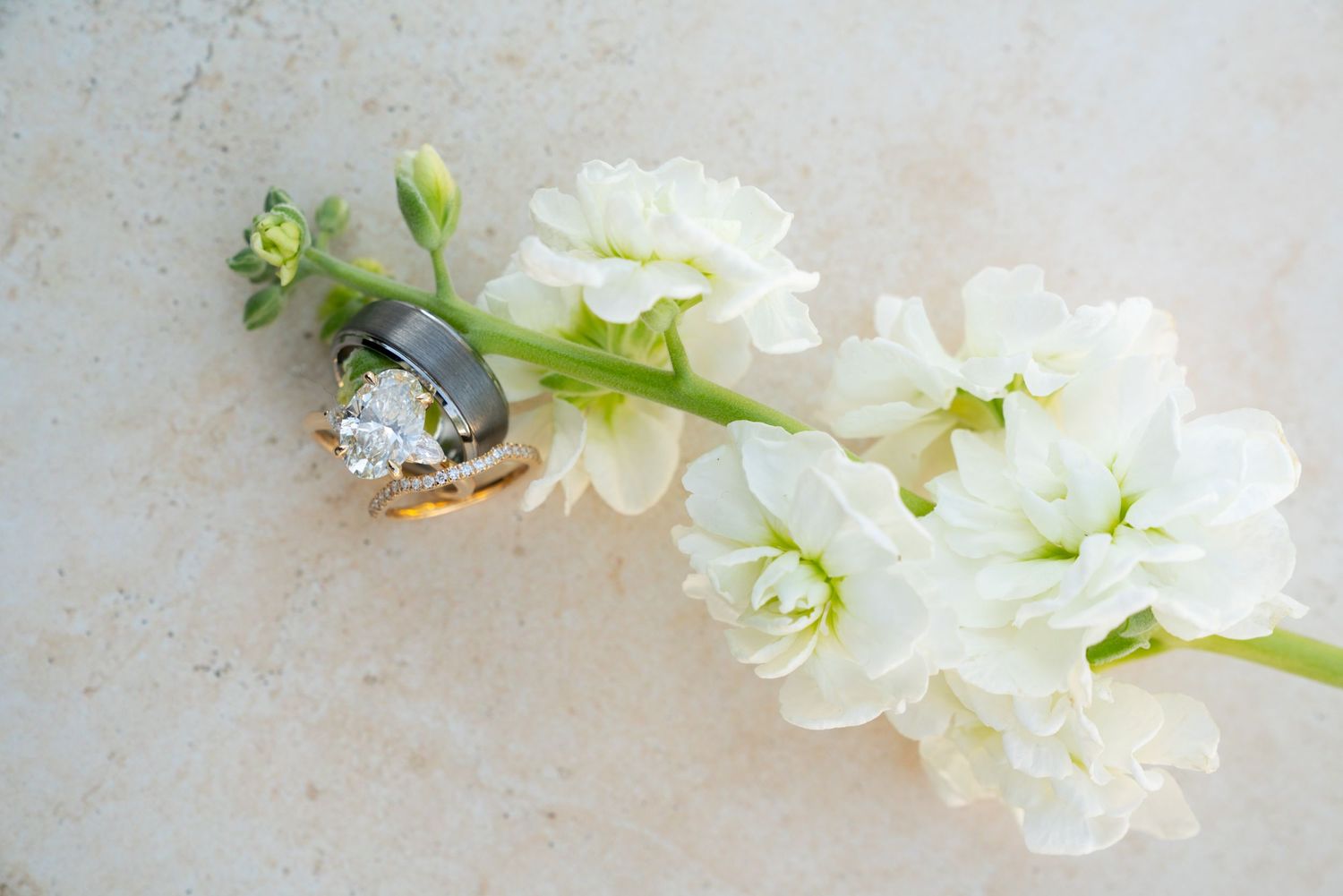 White stock flowers with wedding rings arranged on light marble surface.