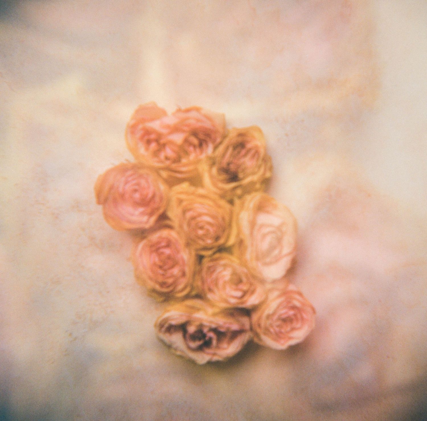 San Diego Photographer and Recent Bride DIY Flower Preservation Project Film Photography Romanic Photo of Flowers