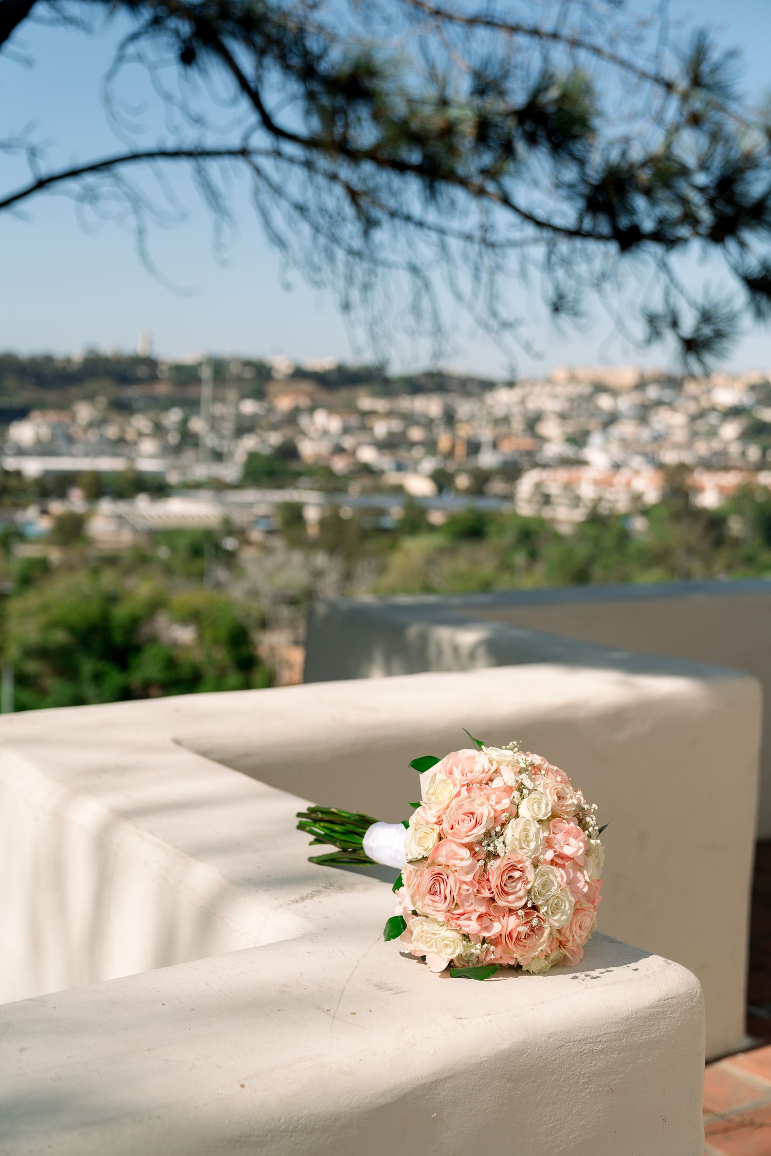 San Diego SOCAL California Wedding Photographer Engagement Shoot with Bride and Groom