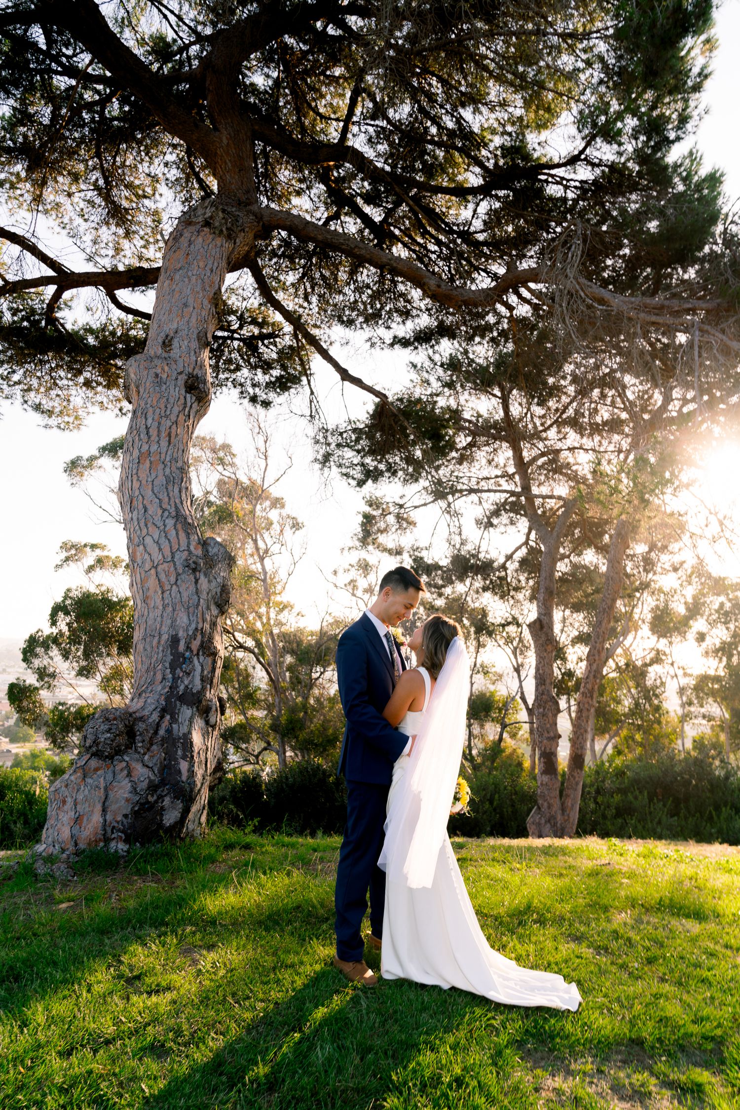 A romantic wedding portrait with a couple embracing under tall pine trees at sunset in a grassy field.