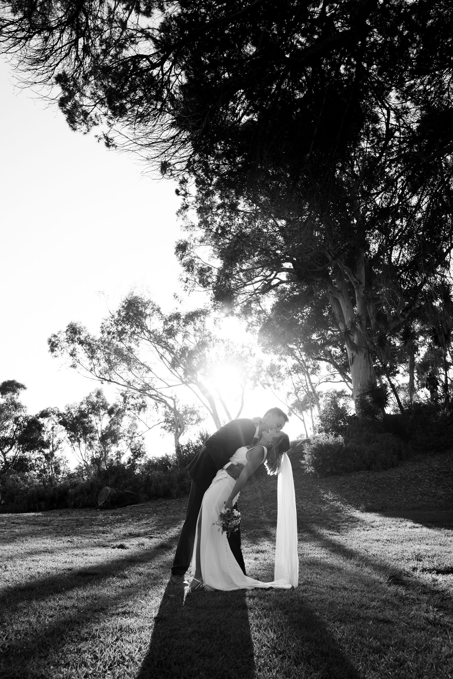 A romantic silhouette of a couple embracing at sunset with sunlight streaming through trees in black and white.