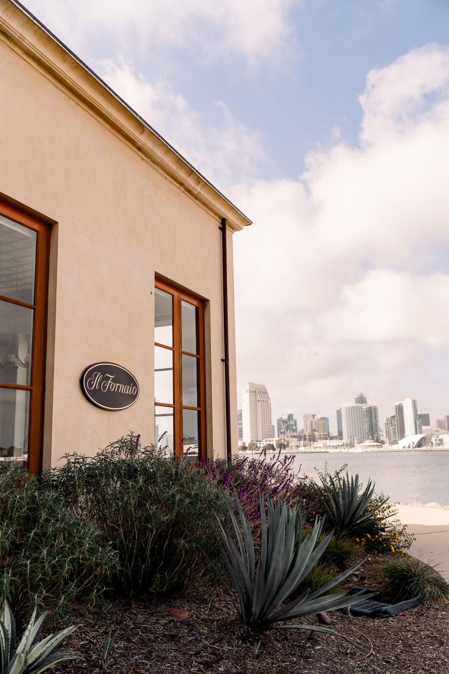 Urban waterfront view with succulents in foreground and city skyline in background.