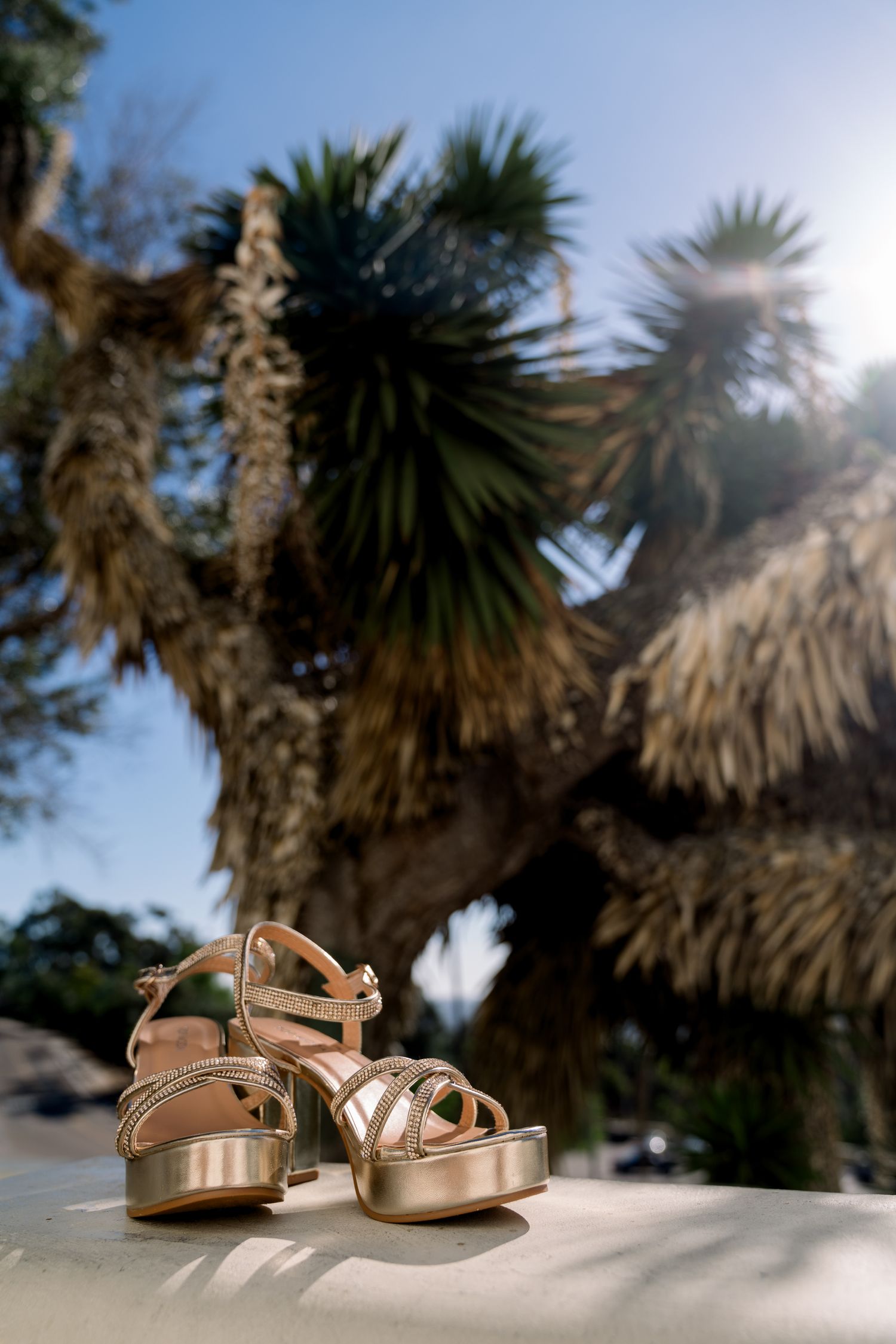 Elopement portraits at The Junipero Serra Museum with a San Diego wedding photographer Unique Engagement Photography
