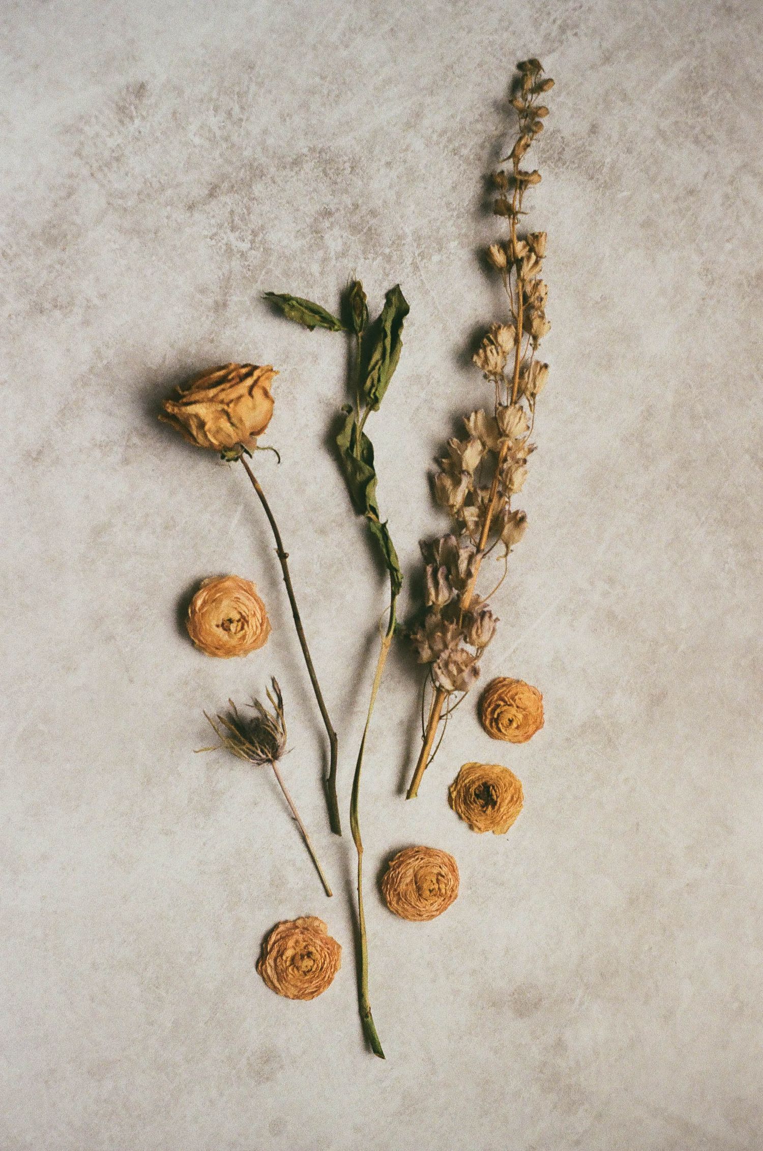 San Diego Photographer and Recent Bride DIY Flower Preservation Project Film Photography Romanic Photo of Flowers