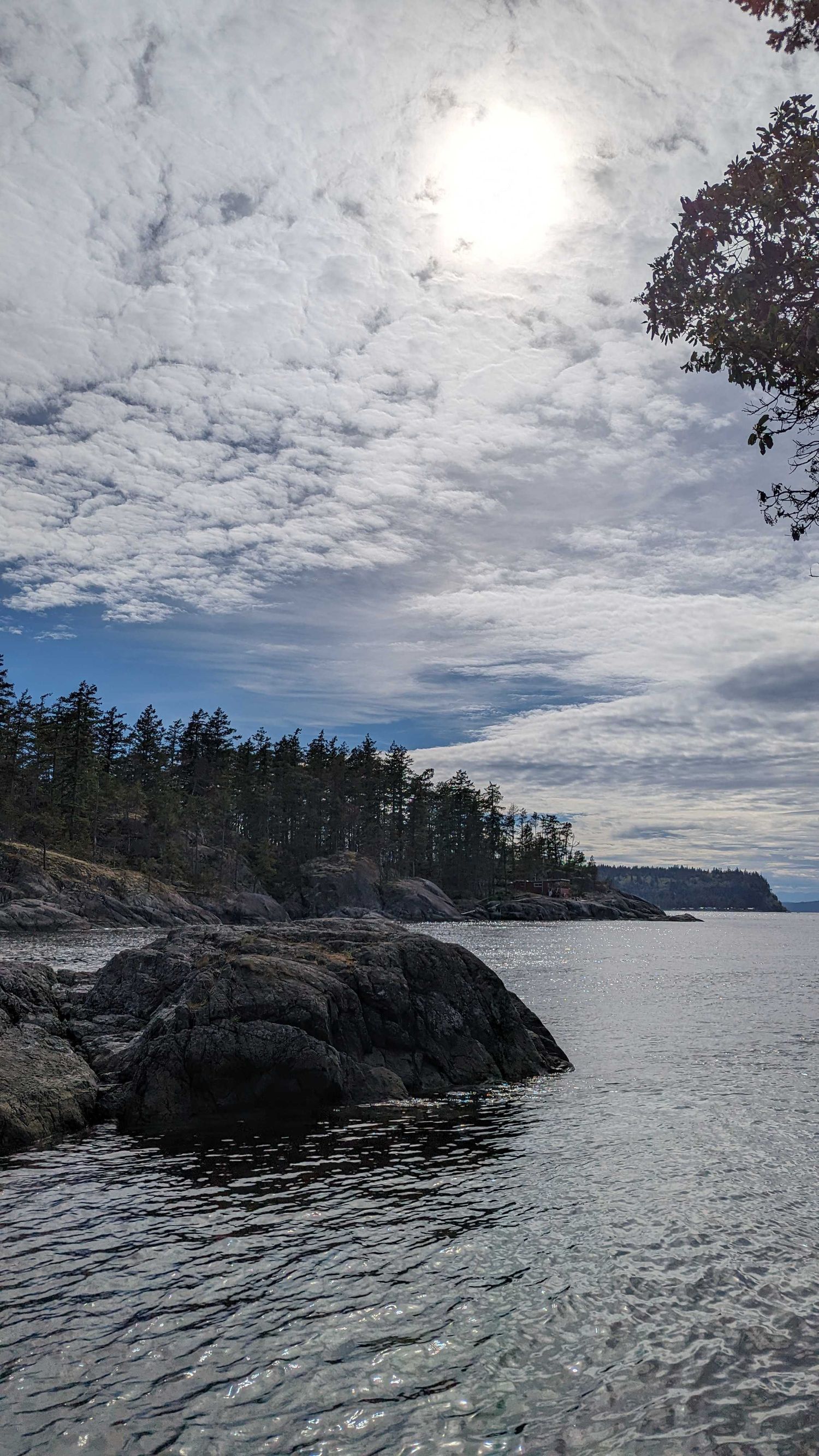 Rocky coastline with evergreen trees along the Pacific Northwest shore under dramatic cloudy skies and sunlight.