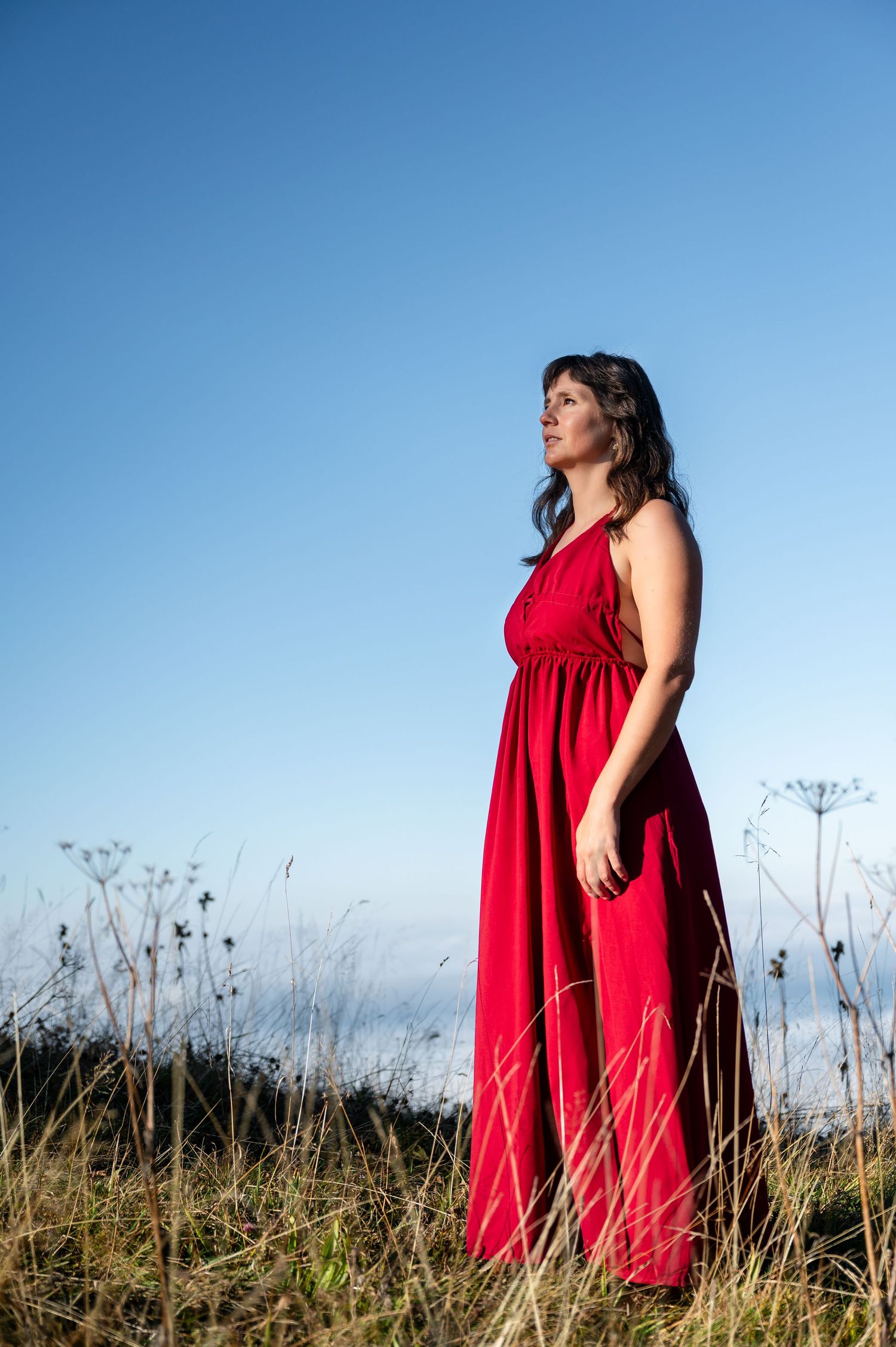 Frau in rotem Kleid steht im hohen Gras vor Tannen und Blick auf die Berge – sinnliches Porträt in der Natur rund um Thun.