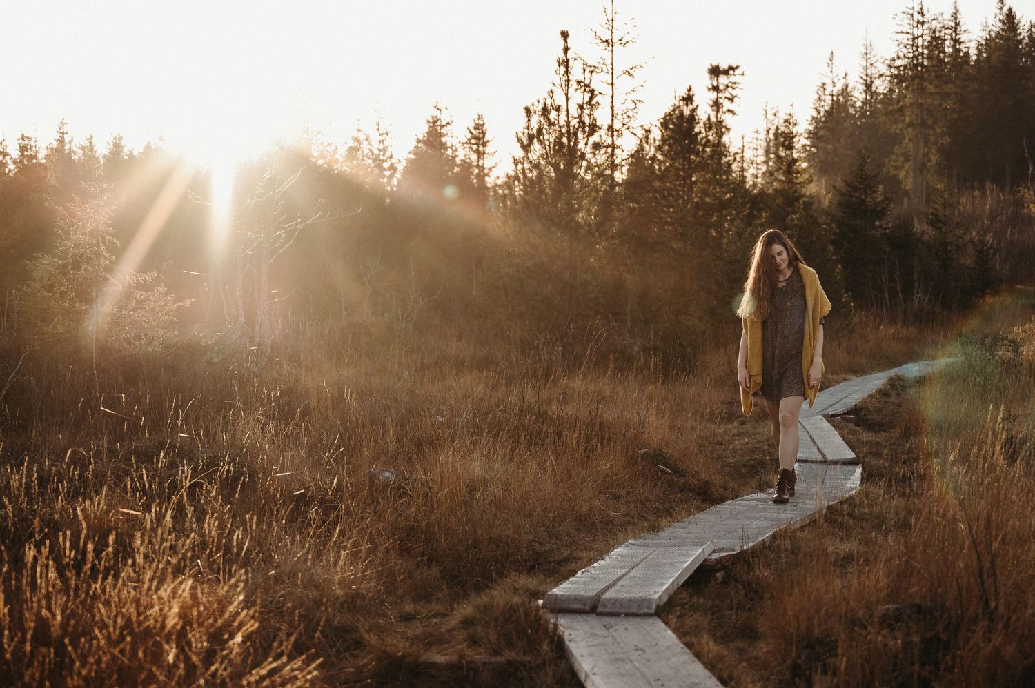 Frau geht im goldenen Abendlicht auf Holzsteg durch herbstliche Moorlandschaft – Naturporträt mit Sonnenstrahlen und Waldkulisse.