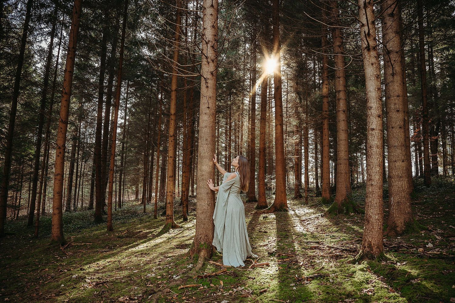 Sunlight streams through tall pine trees in a mystical forest setting with a white dress visible among the trees.