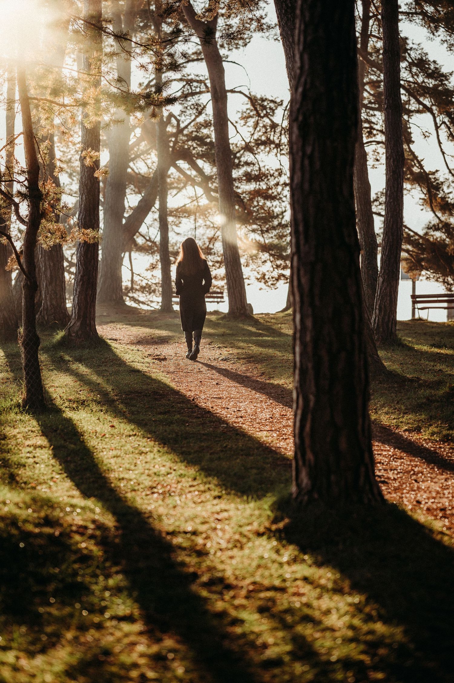 Frau im langen Mantel spaziert durch einen Wald am Thunersee – stimmungsvolles Outdoor-Herbstshooting.